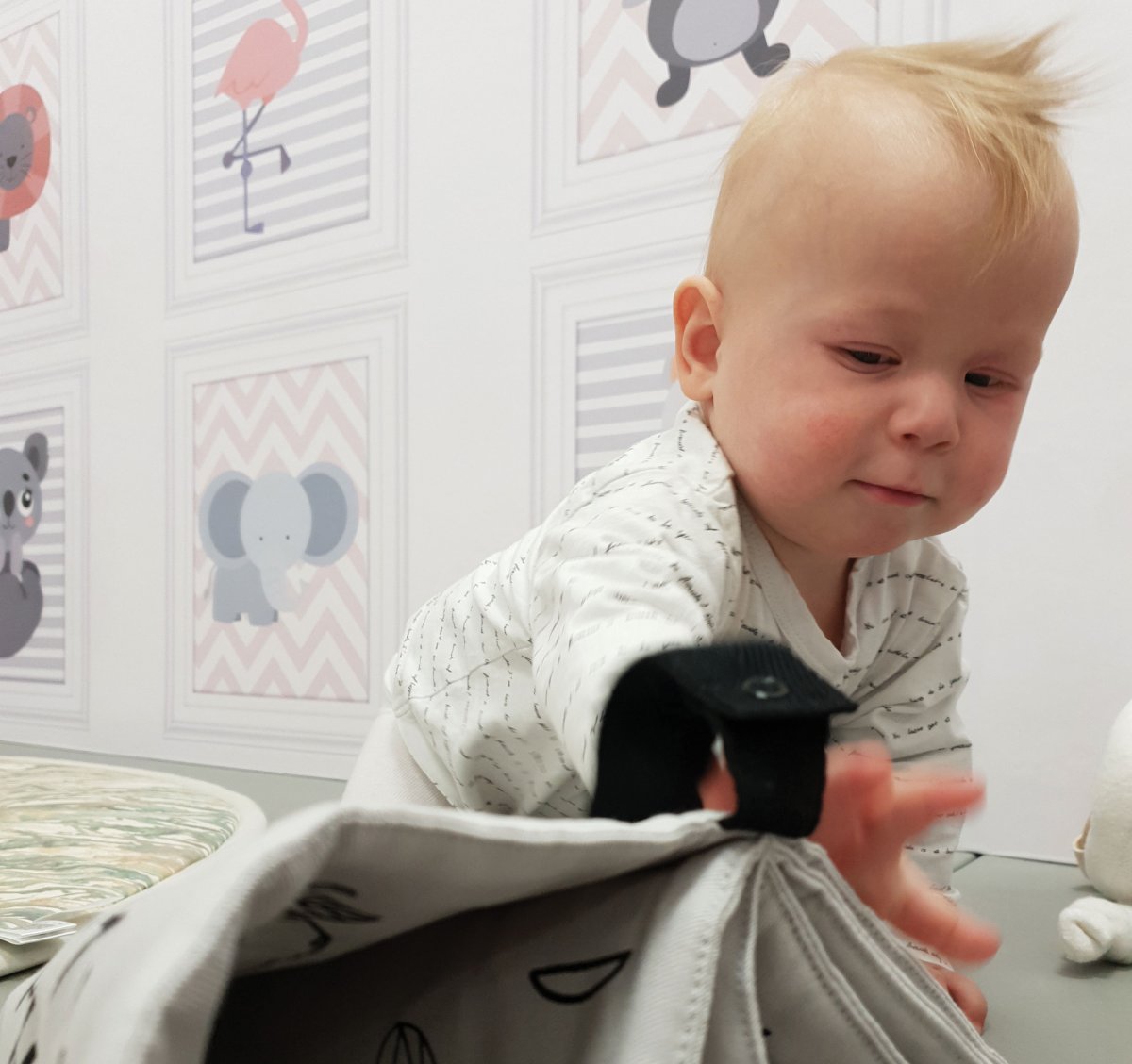 Okrogli trebu&scaron;čki - uvajanje goste hrane HIPP