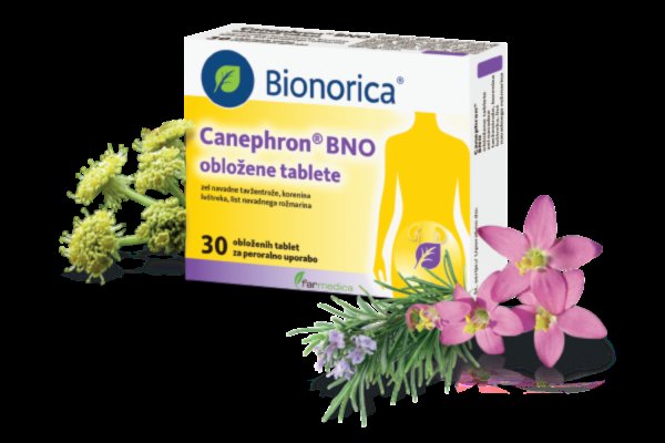 Pomanjkanje železa in akutna vnetja sečil v nosečnosti