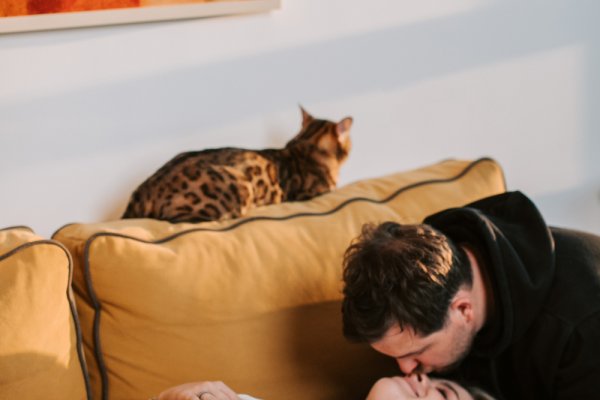 Evin nosečni&scaron;ki dnevnik: 38. teden