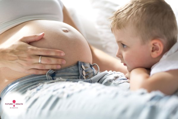 Shranite matične celice